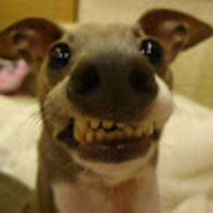 Meet your Posher, Leina